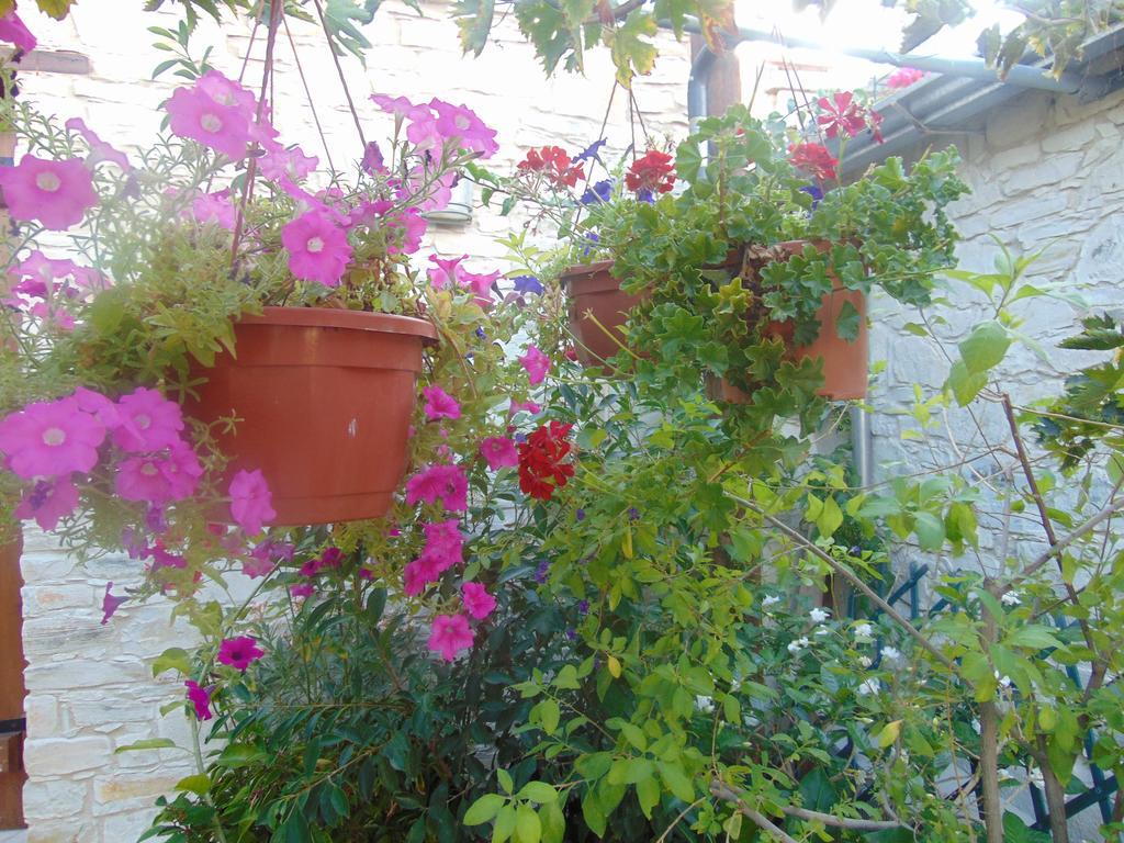 Charalambos Holiday Cottage Kalavasos Exterior photo