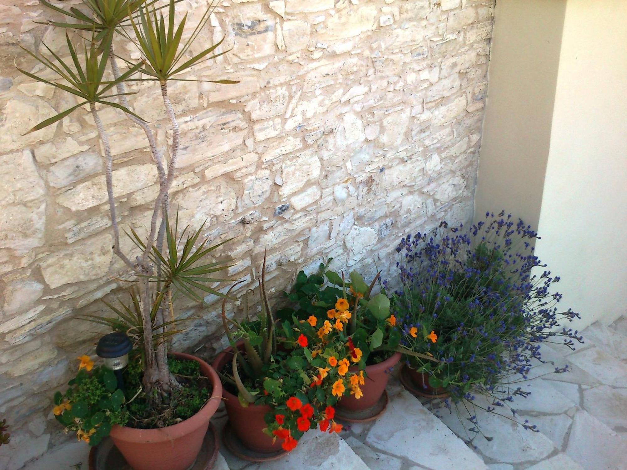 Charalambos Holiday Cottage Kalavasos Exterior photo