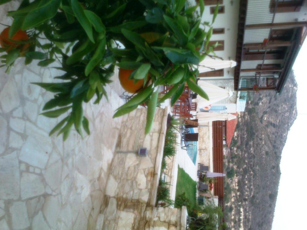 Charalambos Holiday Cottage Kalavasos Exterior photo